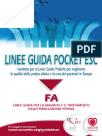 Pocket FA.pdf