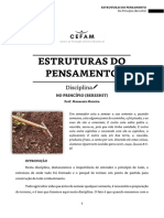 01. Estruturas do Pensamento_alunos.pdf