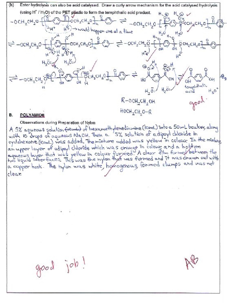 Chem 353 Polymers and Plastics Lab Page 4 | PDF