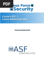 Slides - Primeiros Passos