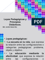 268252822-Leyes-Pedagogicas-y-principios-didacticos-ppt