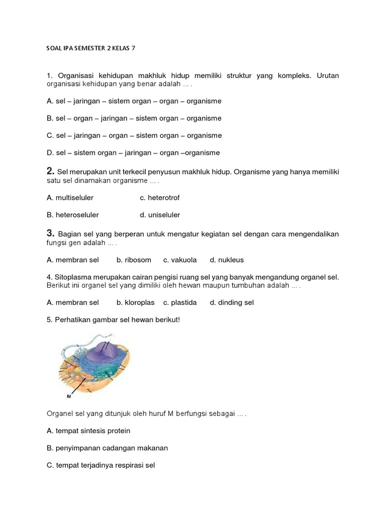 Soal Prakarya Kelas 7 Semester 2 - Contoh Soal Prakarya Kelas 7