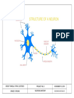 G11rañola PDF