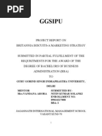 Project Report on Britannia