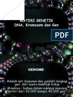 Dna Dan Gen