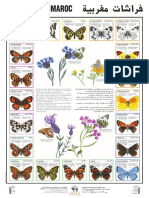 papillons.pdf