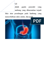 LB Gastritis