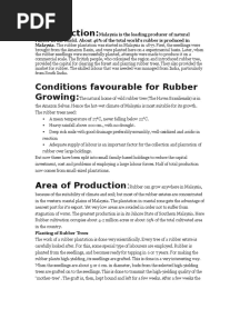 Rubber Plantation in Malaysia