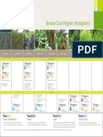Banana Crop Plan Fertigation(2).pdf