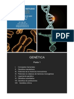 Genética: Conceptos básicos y leyes de Mendel