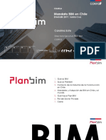 Plan_BIM-Carolina_Soto.pdf