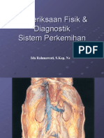PX Fisik & Diagnostik Perkemihan