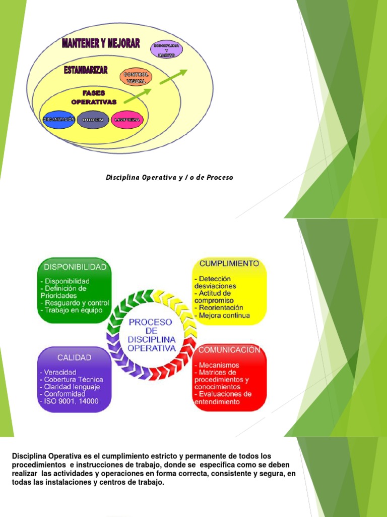 Disciplina Operativa en Pemex: Claves y Etapas | PDF | Disciplinas ...