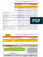 Programa de Inspecciones PlaneadasRev0