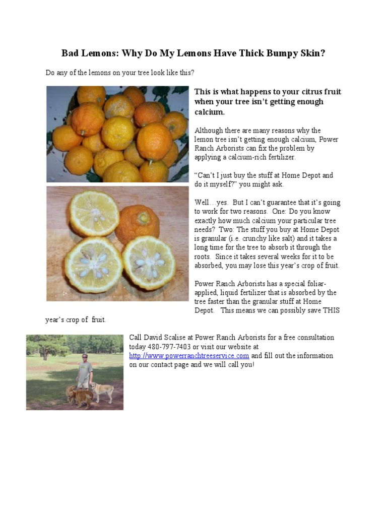 Fixing Thick Bumpy Lemons Fast | PDF
