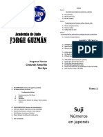 01.-Programa Técnico Guía Cinturón Amarillo