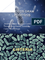 Bacterias gram positivas
