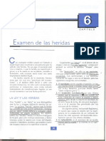 De Libro - Heridas PDF