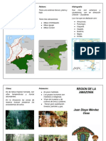 Región de la Amazonia colombiana y sus características geográficas