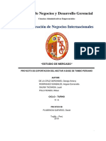 PLAN-DE-NEGOCIO-DE-EXPORTACIÓN.docx