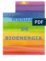 Manual de Bioenergia Módulo 2