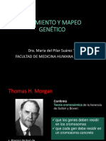 Mapeo Genetico