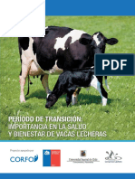 Periodo de Transicion PDF