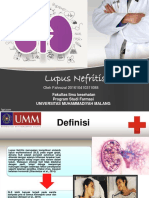 4 - Lupus Nefritis - Fahrozal - 088