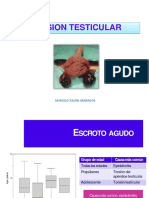 Torsion Testicular Expo