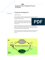 Pengertian Metagenesis Dan Penjelasan Proses Metagenesis (Lengkap)