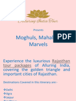 Moghuls Mahals Marvels