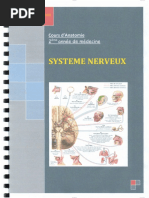 Generalite Membre Superieure