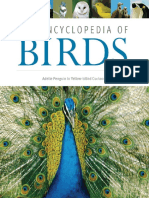Encyclopedia of Birds - Split - 1 PDF