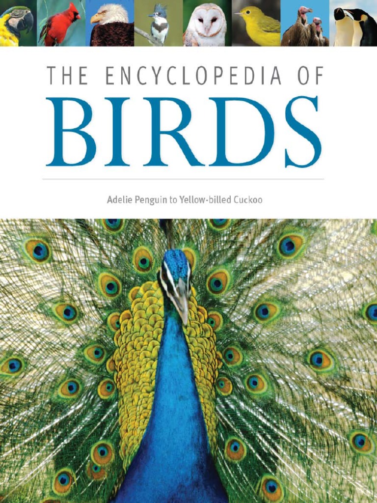 Encyclopedia of Birds - Split - 1 PDF | PDF | Beak | Nest