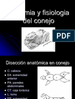Anatomia y Fisioliogia Del Conejo
