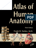 Netter F.H. Atlas of Human Anatomy (3ed., ICON LLC,2003)(627s)