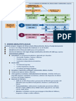 Esquema FERNANDOVIIjv 1