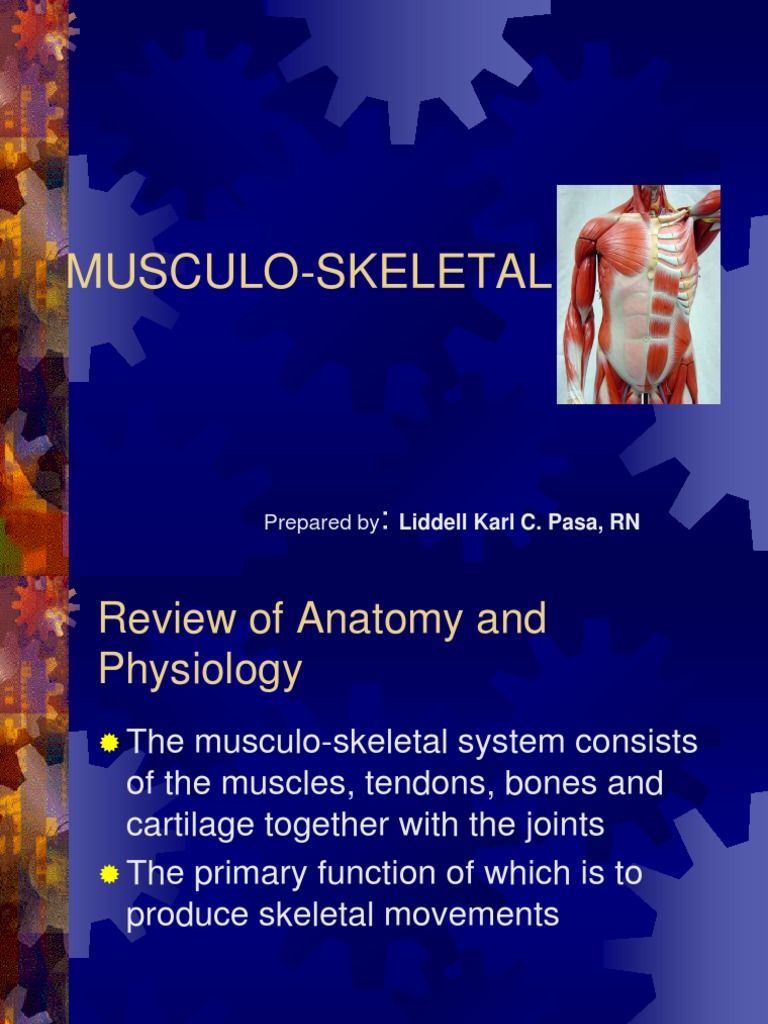 Musculoskeletal System Overview and Care | PDF | Rheumatoid Arthritis ...