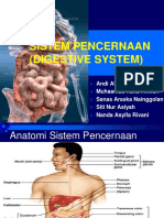 Anfisman Sistem Pencernaan