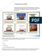 Pelapukan Kimia Dan Biologi