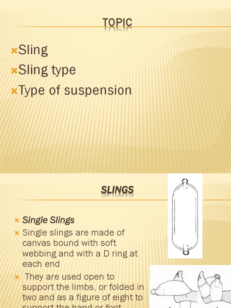 26 Material of suspension therapy.pptx Anatomical Terms Of Motion Elbow