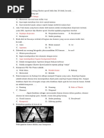 Rpp Fotografi Xi Kd 3 1 4 1