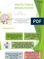 Brain Protection and Resuscitation - IIS