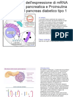 Persistenza Dell'Espressione Di mRNA Dell'Insulina Pancreatica e Proinsulina Proteica Nel Pancreas Diabetico Tipo 1