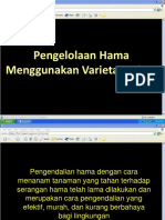 10 Pengendalian Hama Dengan Pemuliaan Tanaman Ketahanan Varietas