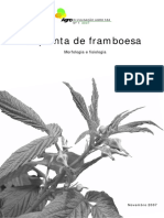 Morfologia e fisiologia da planta de framboesa