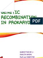 Genetic Recombination in Prokaryotes