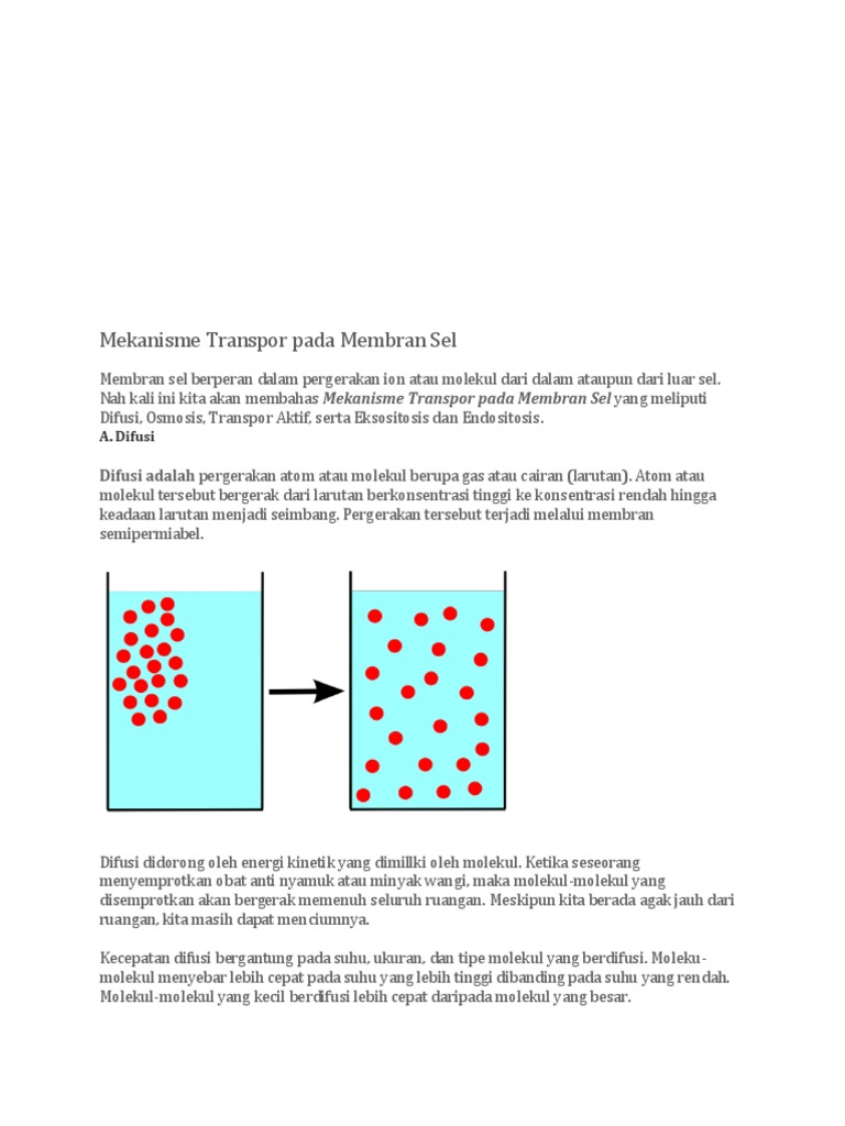 Mekanisme Transpor Membran Sel | PDF