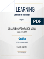 César Ramos-Certificado de Inducción Coorporativa