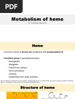 Metabolism of Heme